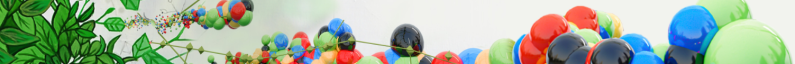 Plik:Baner4. poco56.png